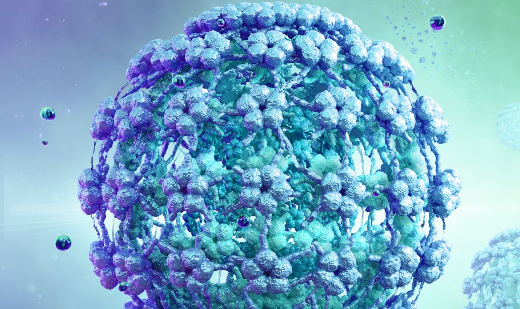 About HPV